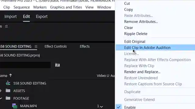 enhance-audio-quality-in-premiere-pro-expert-tips