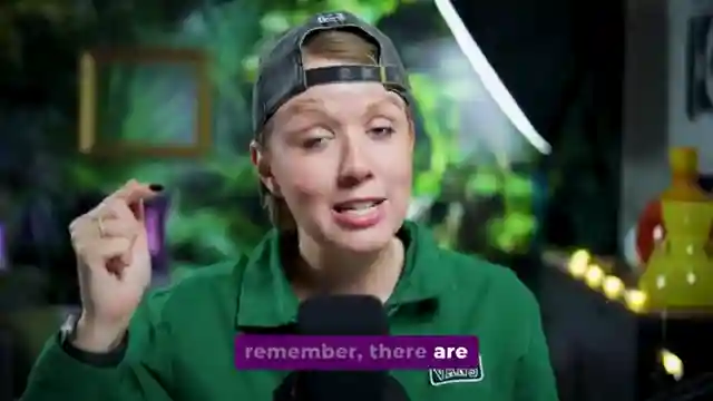 master-premiere-pro-editing-tips-with-premiere-gal
